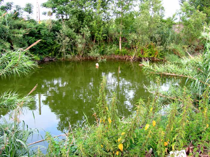رودخانه تالار تازه آباد